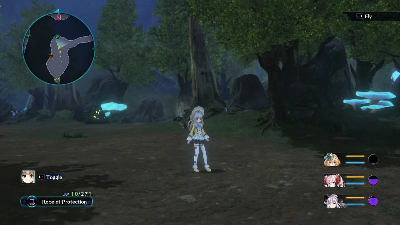 Product images
