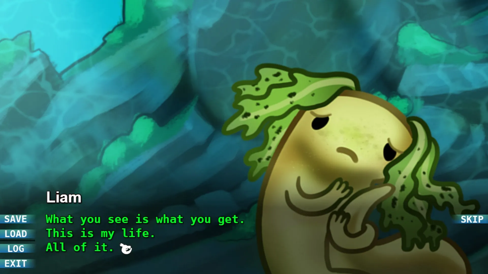 Product images