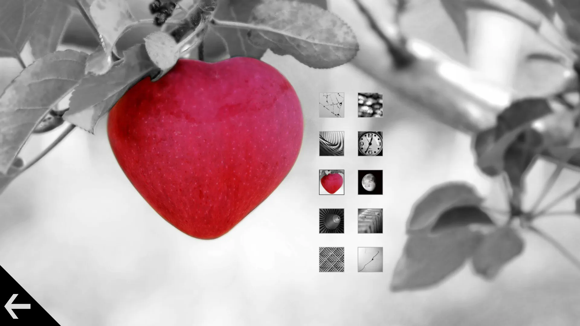 Product images