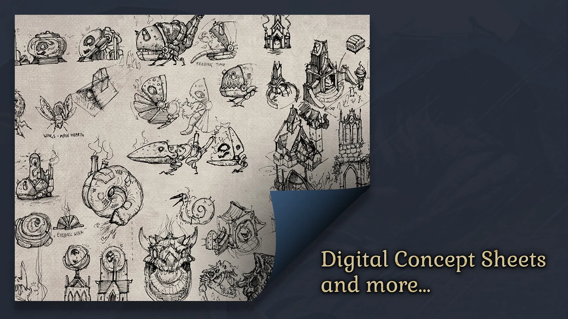 Product images