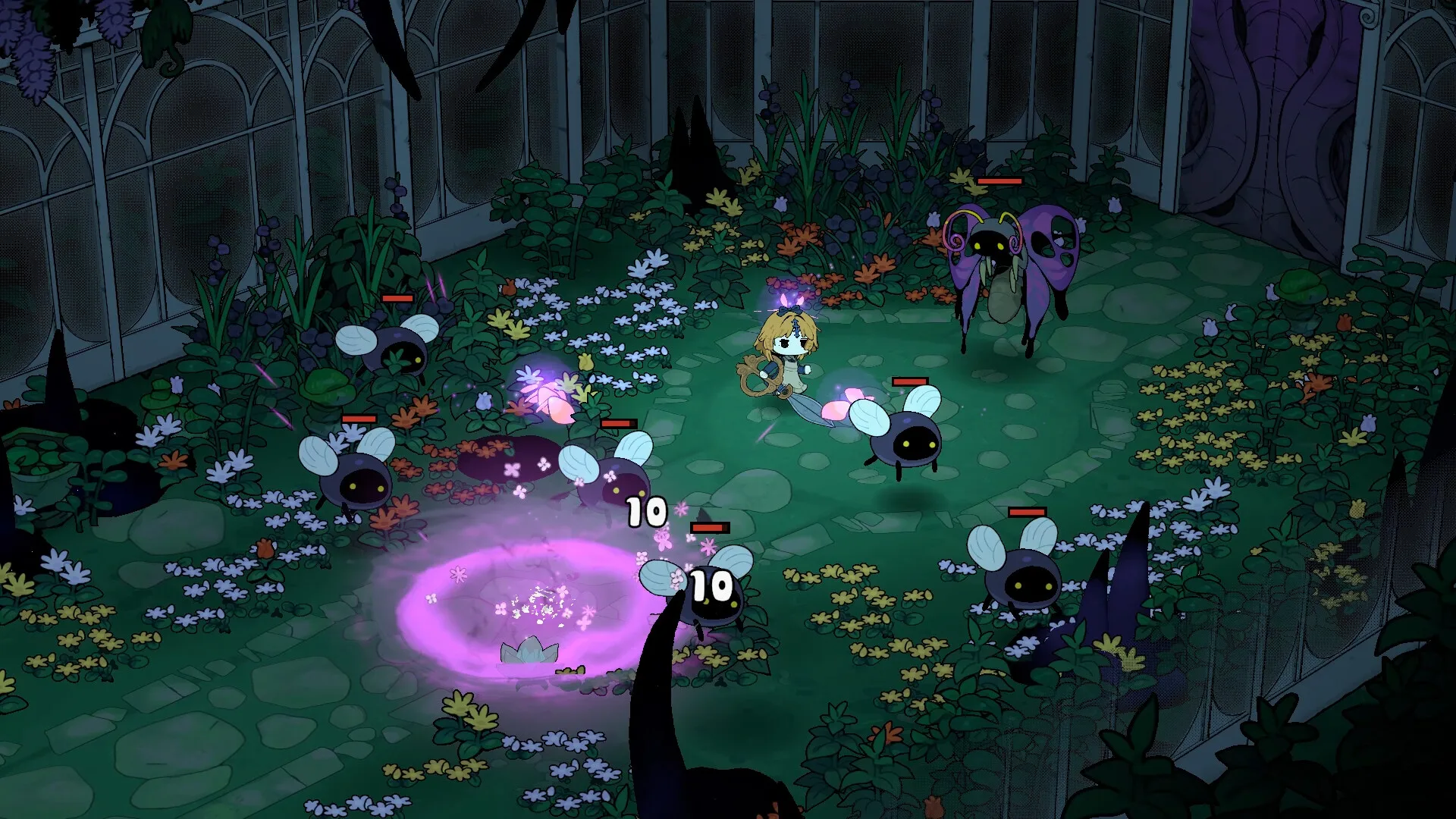 Product images