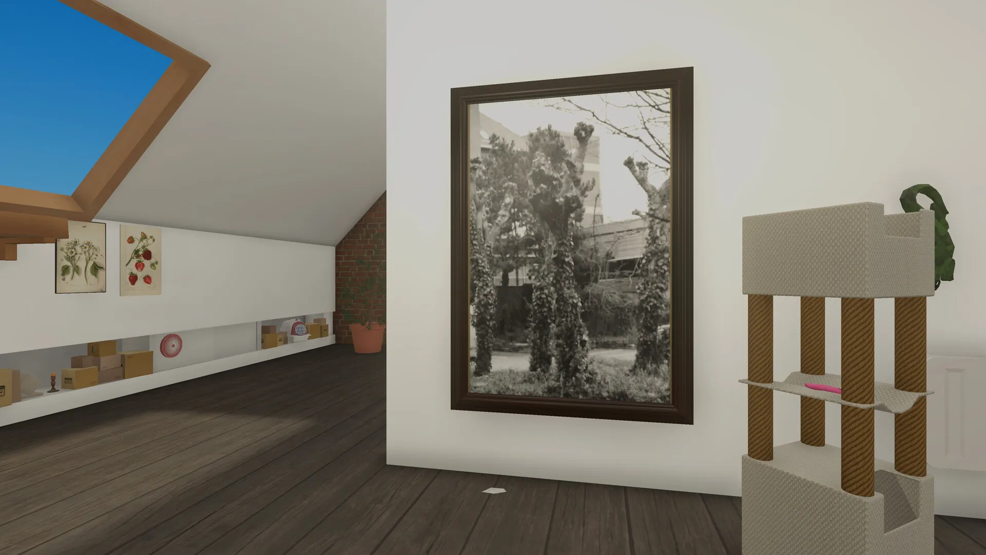 Product images