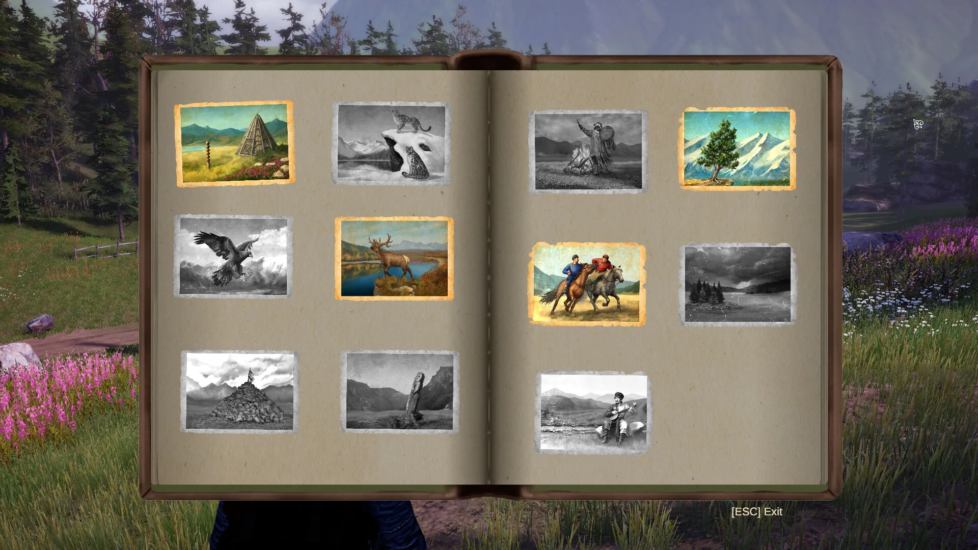 Product images