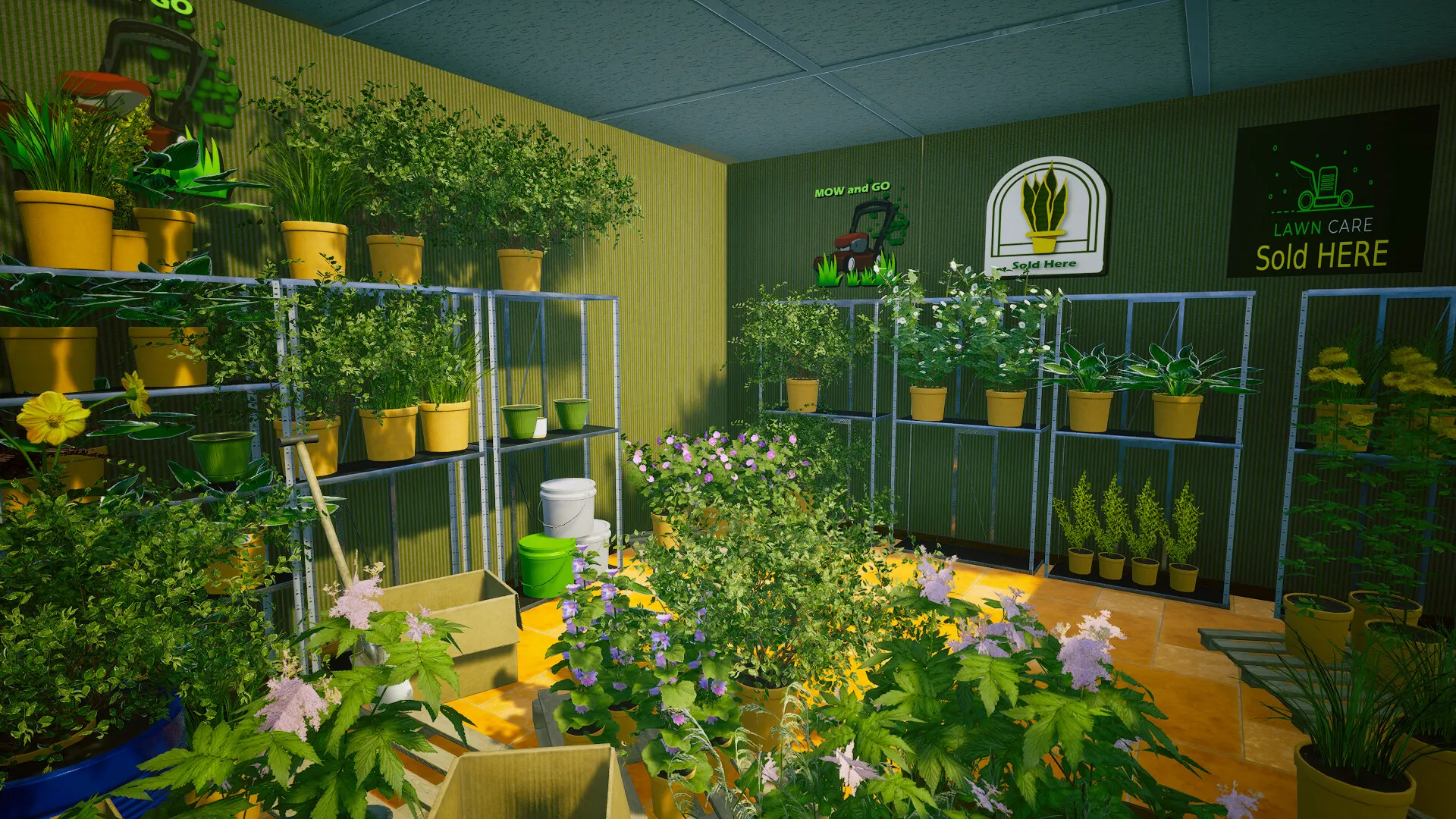Product images