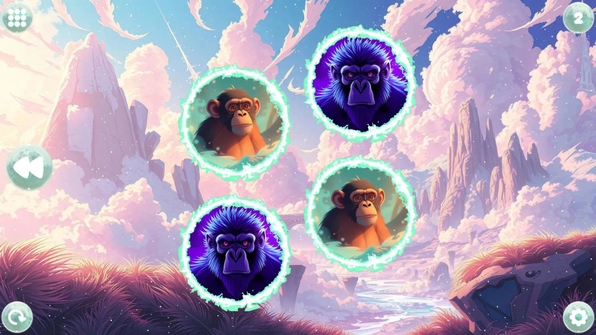 Product images